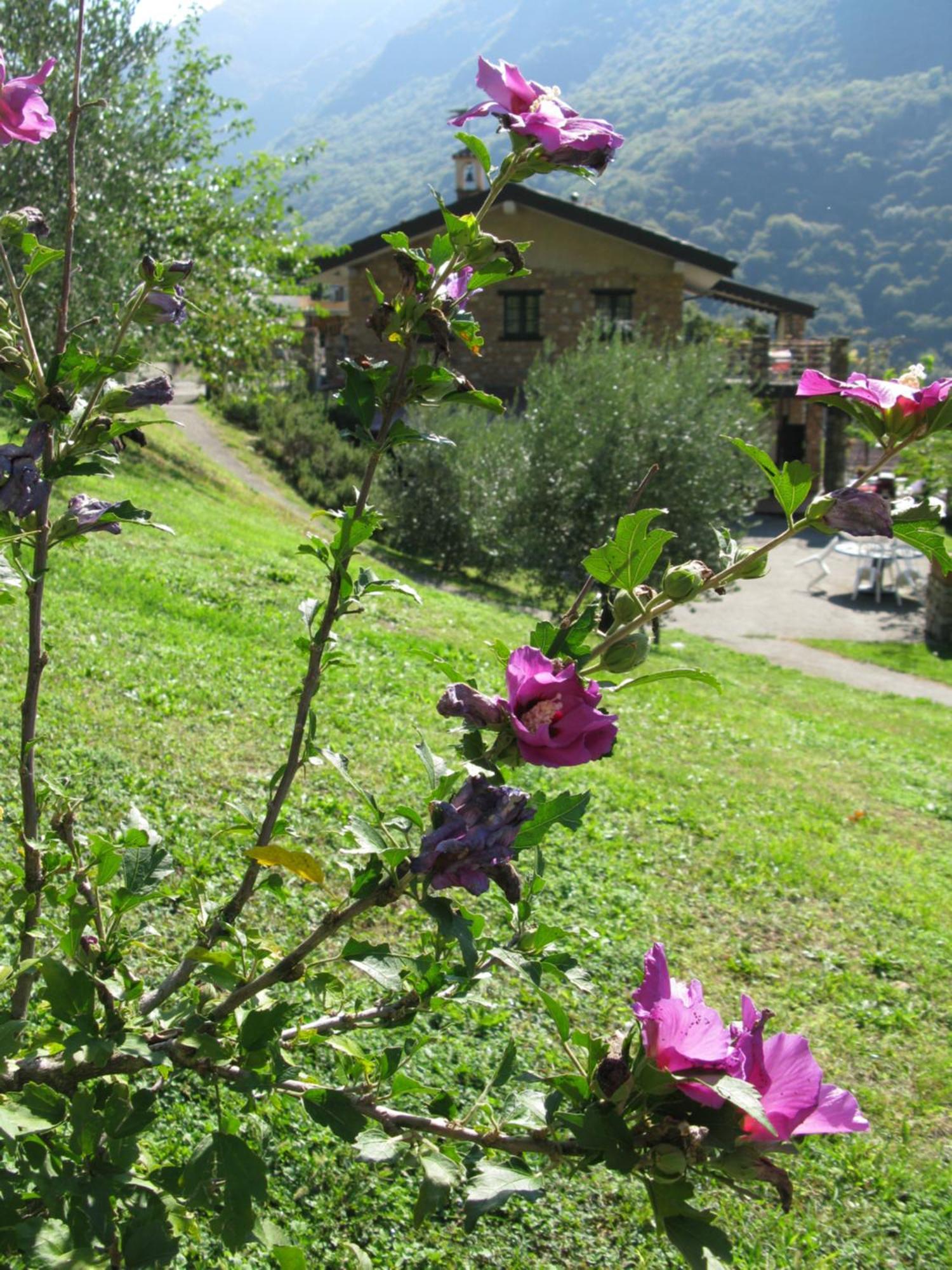 Chalet Della Rota Мароне Екстер'єр фото